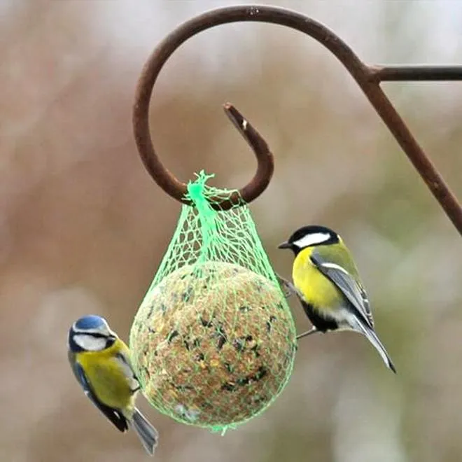 Dokarmianie ptaków zimą