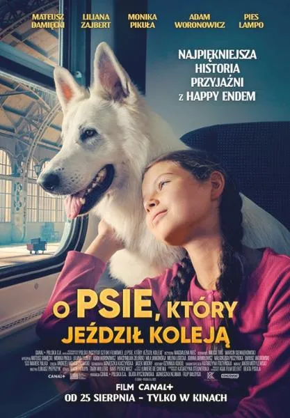 Dramat psa na kolejce linowej