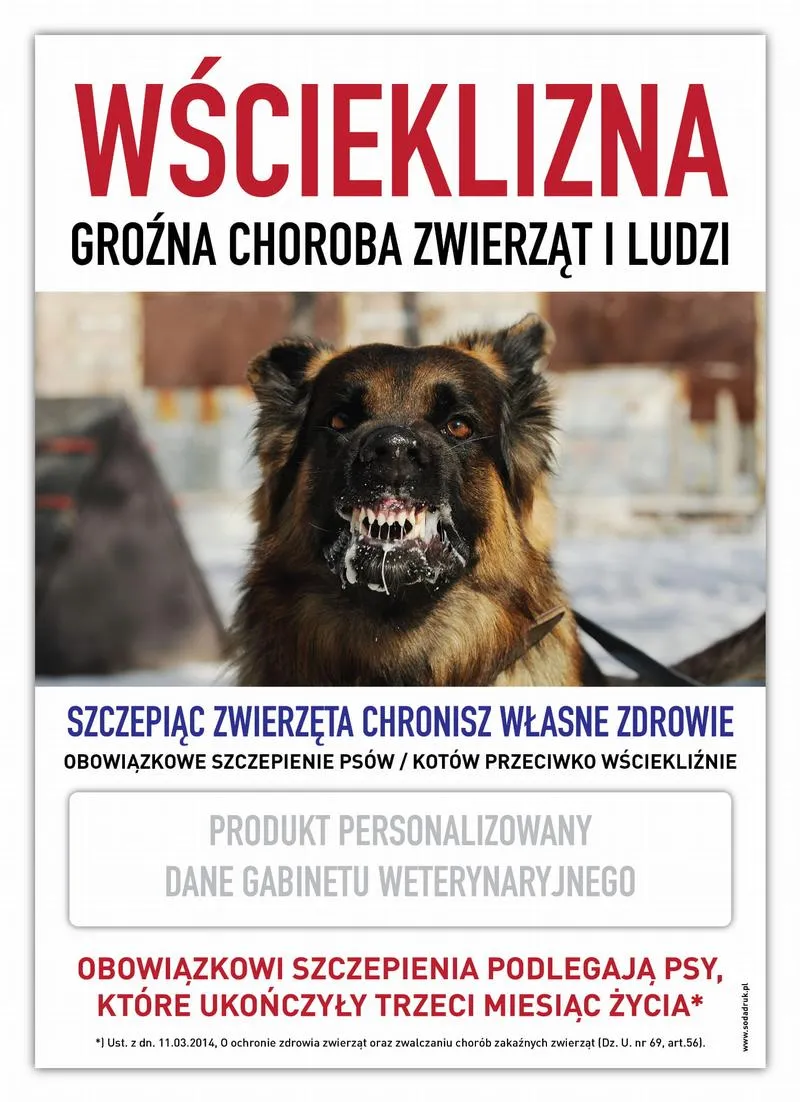 Dzikie i domowe zwierzęta a wścieklizna