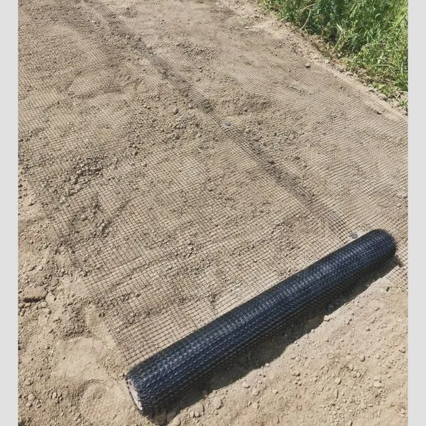 Dziury w trawniku