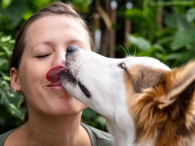 Emocjonalne przyczyny lizania psa