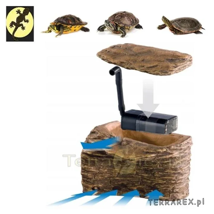 Filtracja akwarium dla żółwia