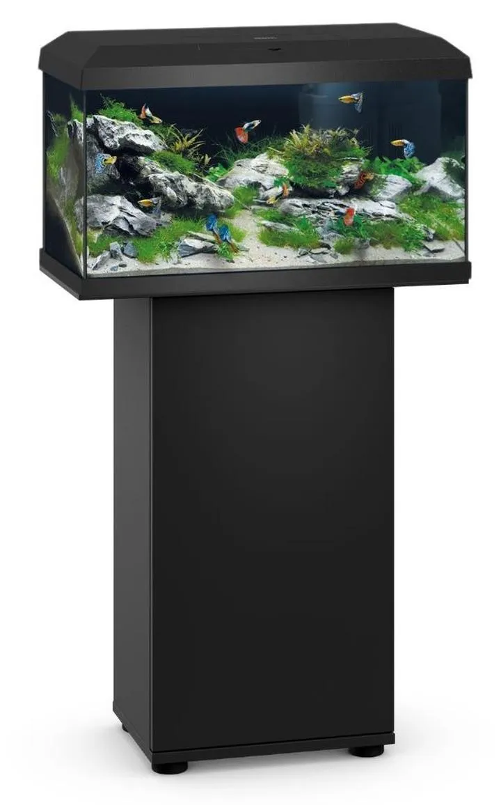 Gatunki roślin akwariowych