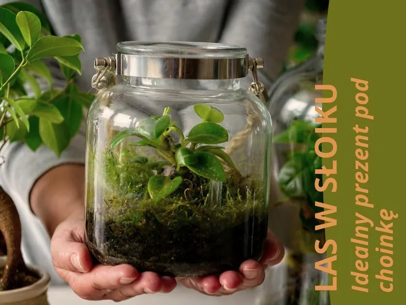 Kabel grzewczy terrarium