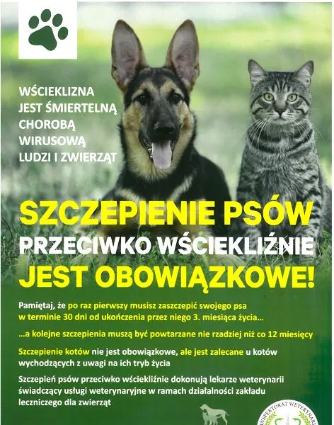 Kalendarz szczepień psa