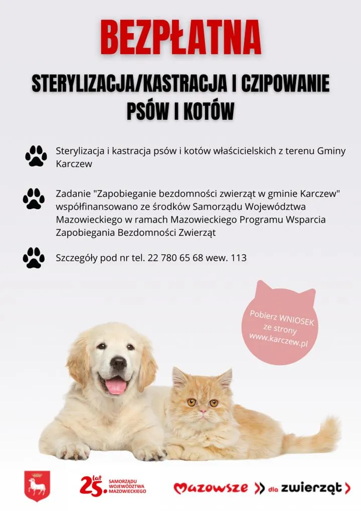 Kastracja psa a zachowanie