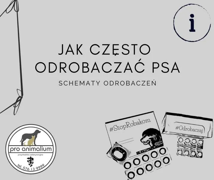 Kiedy skontaktować się z weterynarzem