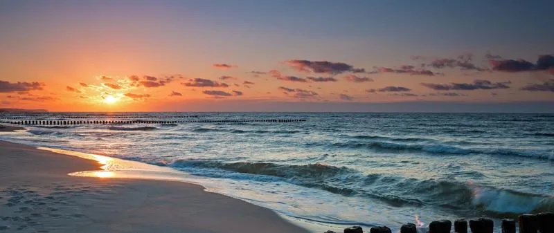 Kluczowe gatunki Bałtyku