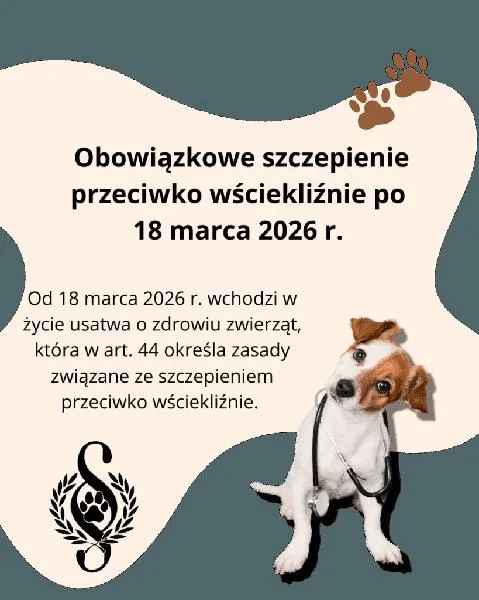 Koszty szczepień psów