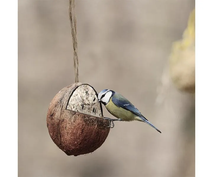 Kule z ziaren dla ptaków