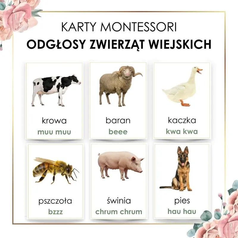 Kultura a język odgłosów zwierząt