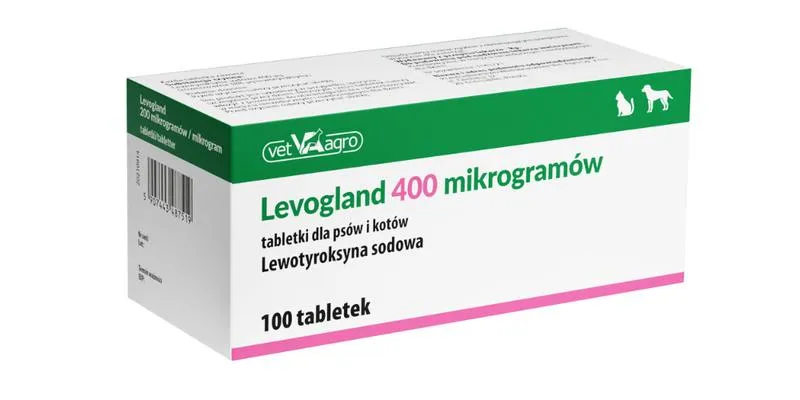 Leczenie bólu u psa
