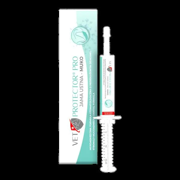 Leczenie zapalenia płuc u kota