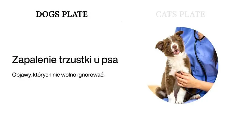 Leczenie zapalenia trzustki u psa