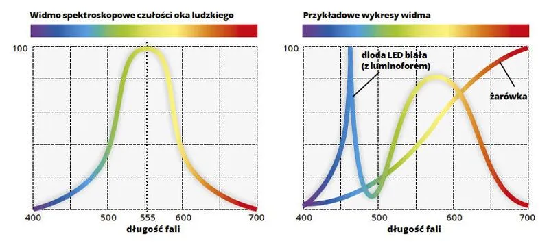 Lumeny na litr akwarium