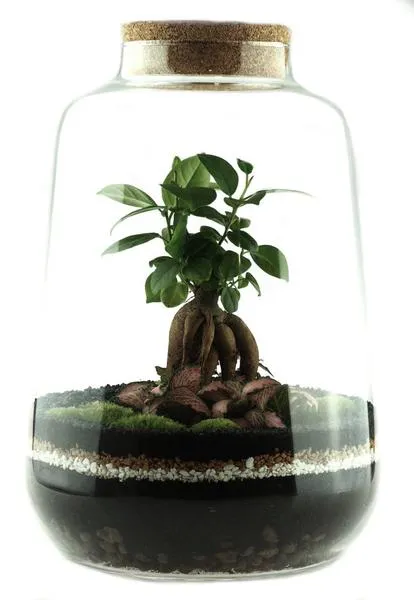 Mata grzewcza terrarium