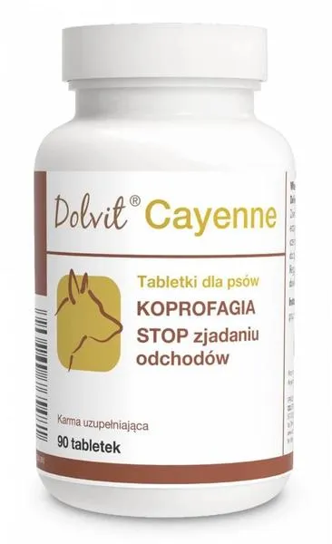 Metody wychowawcze dla psów