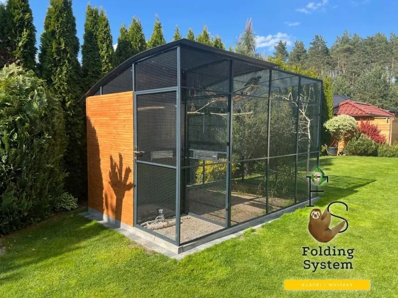 Najlepsze gatunki papug do woliery