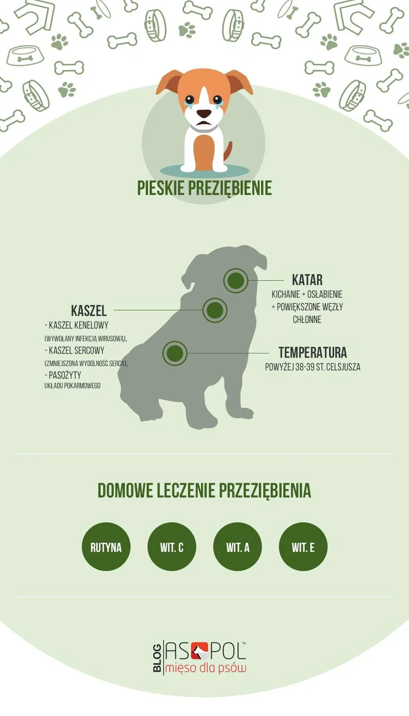 Naturalne zioła i suplementy dla psa