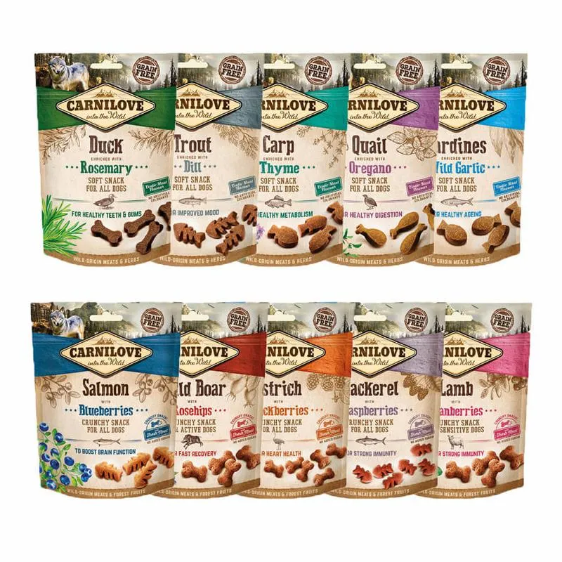 Nawyki żywieniowe psa