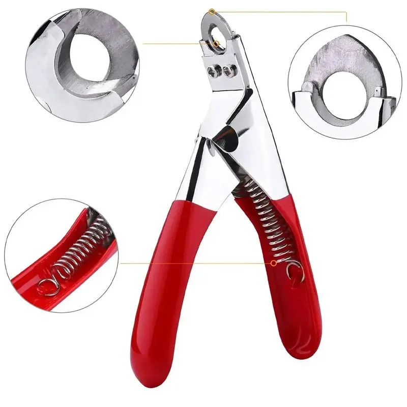 Obcinanie psich pazurów