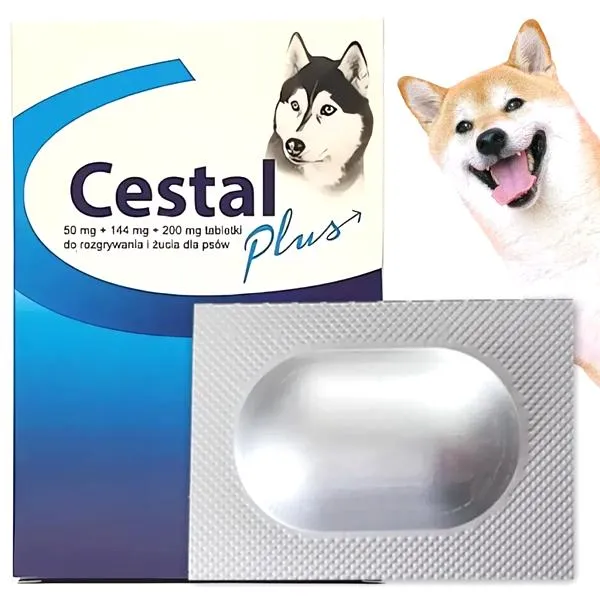 Objawy po odrobaczeniu psa