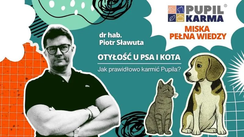 Odchudzanie psa