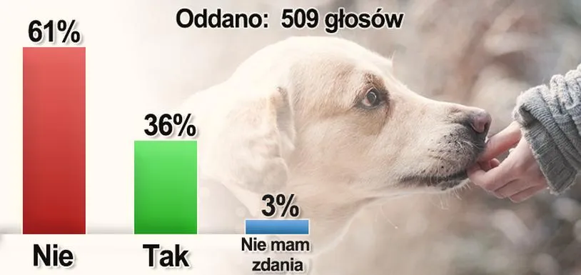 Opłaty za psa