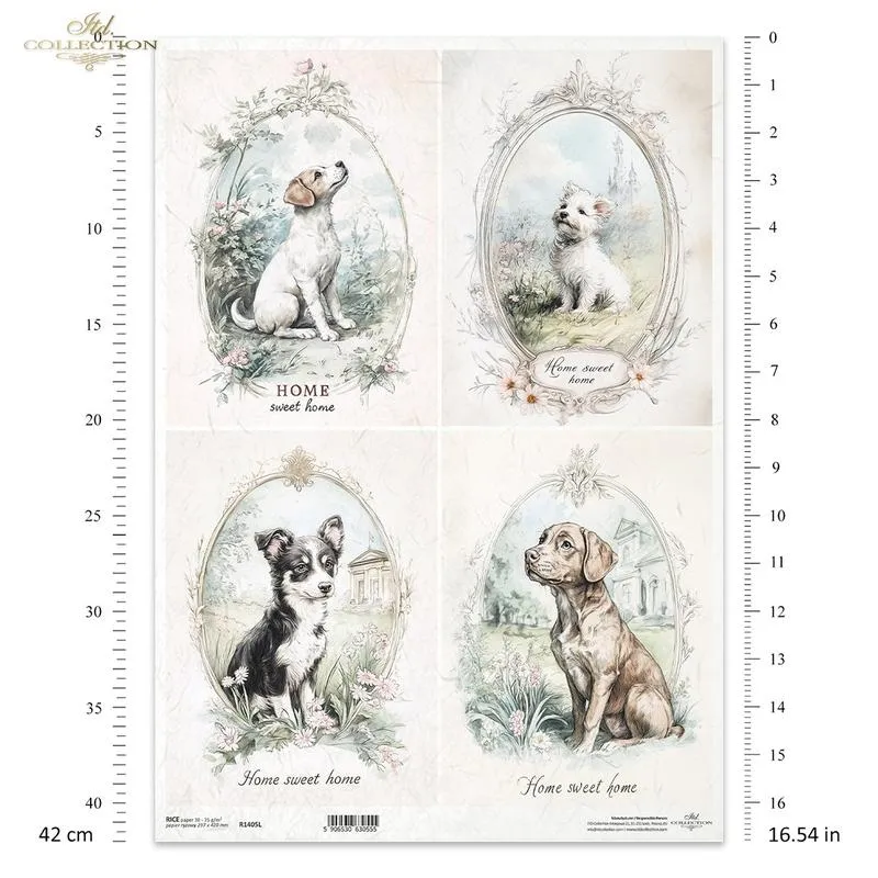 Pies jako strażnik i przyjaciel