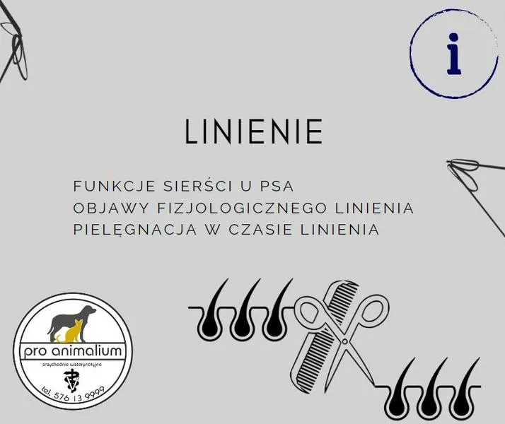 Pies linieje przyczyny