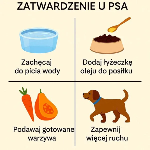 Pies z zaparciami