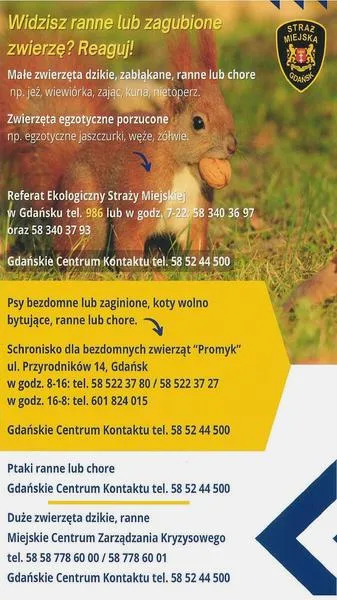 Pomoc dzikim zwierzętom