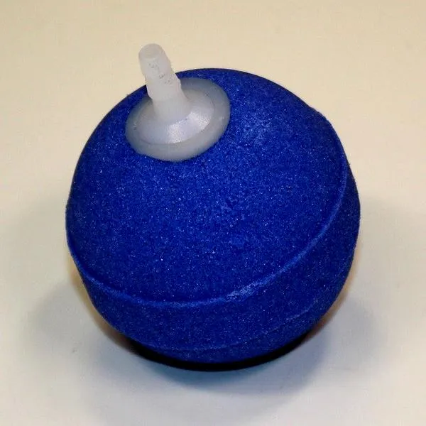 Poprawa funkcjonowania akwarium