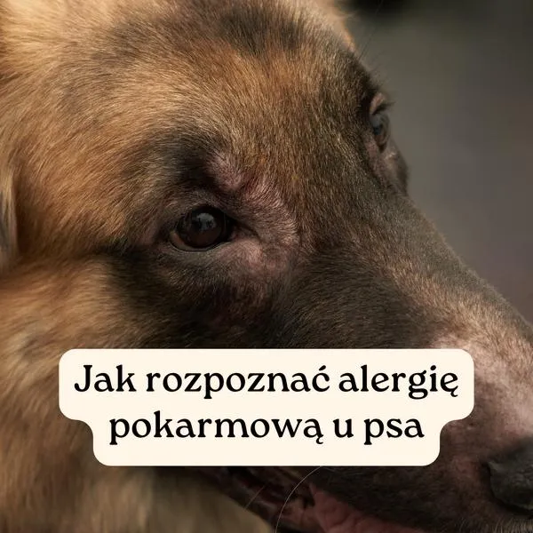 Proces odczulania
