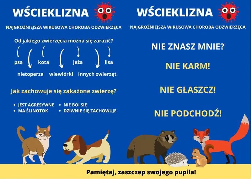 Profilaktyka i szczepienia przeciw wściekliźnie