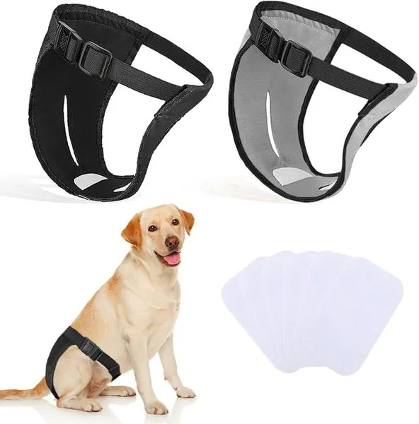 Profilaktyka krwiaka u psa