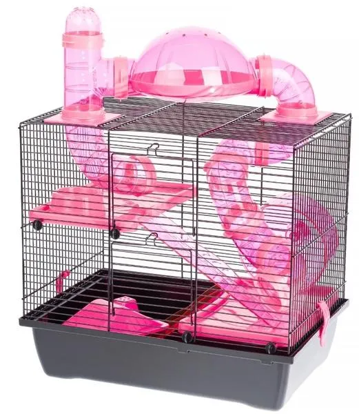 Przestrzeń życiowa chomika