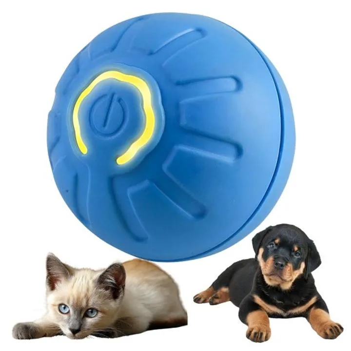 Przyczyny drżenia u psów