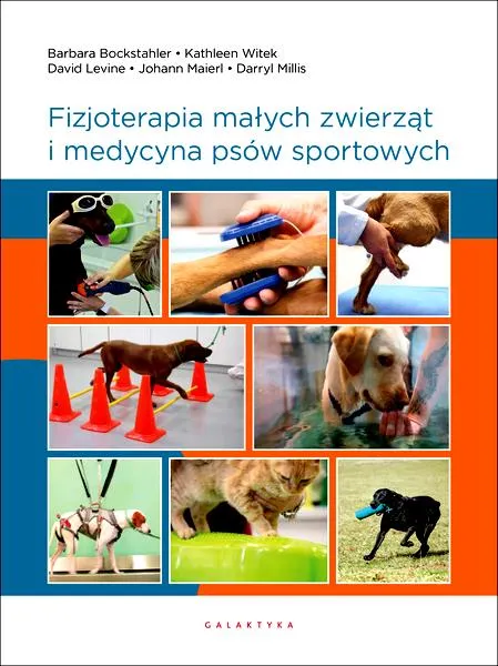 Przyczyny dyskopatii u psów