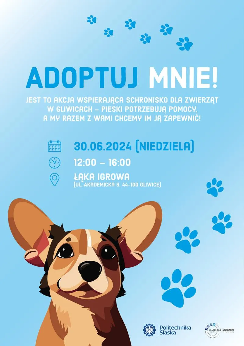 Przyczyny oddania zwierzęcia do schroniska