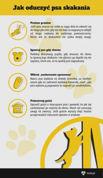 Przyczyny skakania psa