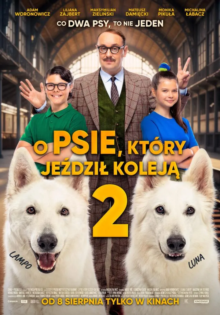 Przygody psa w podróży