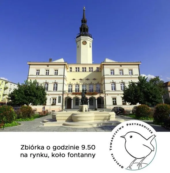 Przyroda w Opolu