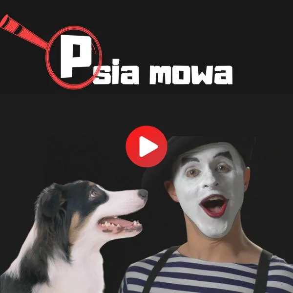 Psy i ich zachowanie