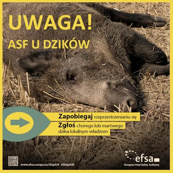 Radzenie sobie ze stratą pupila