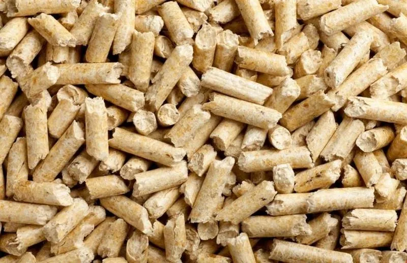 Rodzaje podłoża dla zwierząt