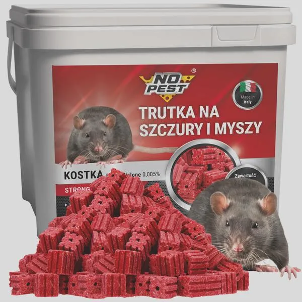 Rola administratora budynku