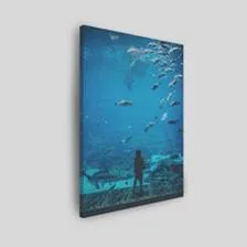 Rośliny i ryby do akwarium