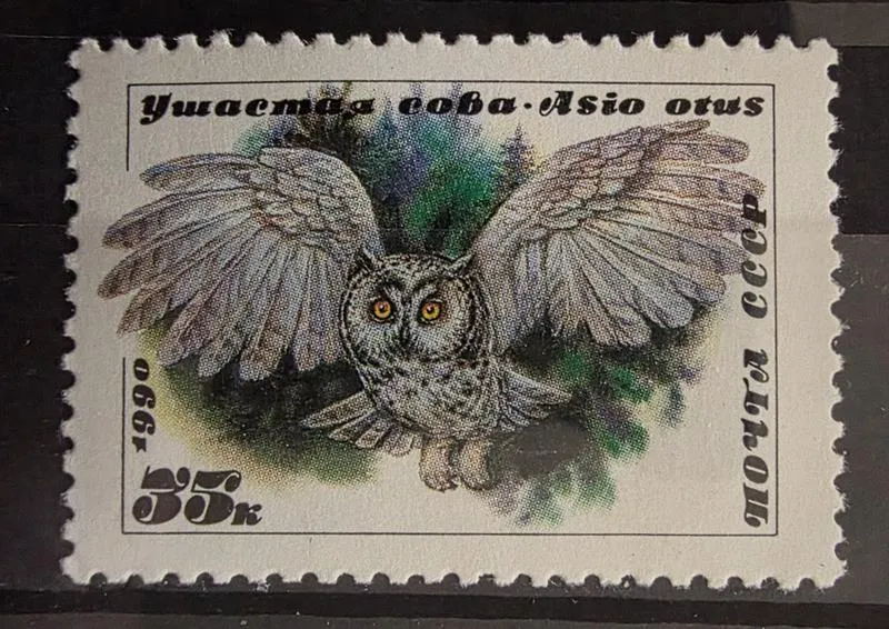 Sowy drapieżne