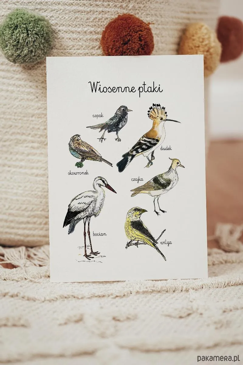 Symbolika przylotów ptaków